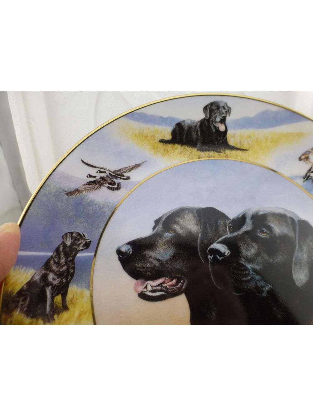 Royal Doulton Franklin Mint Sporting Life Black Labrador Retriever Plate D13 - Picture 8 of 9